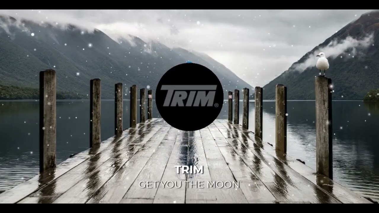 TRIM - GET YOU THE MOON ( Prod by : LOKE )