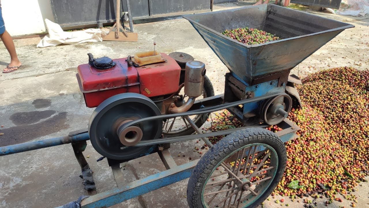 Mesin Diesel Selepan  Pemecah Kopi Basah.[Diesel Engine Start up old diesel engine starting]