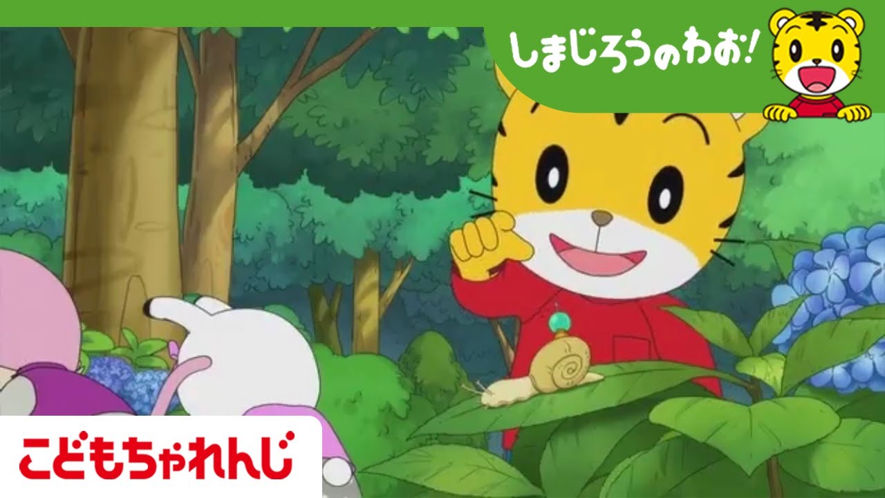 かたつむりをすくえ【しまじろうチャンネル公式】