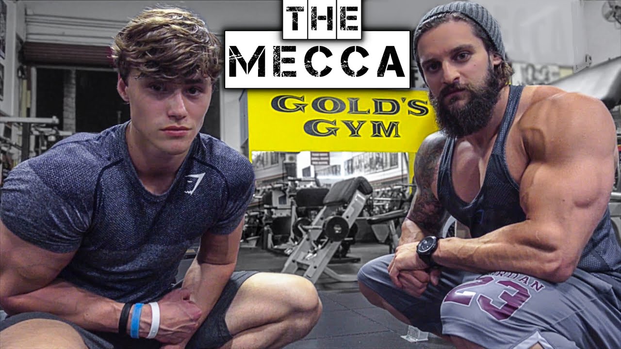 EXPO & CHILL | BIG CHEST BICEPS SHOULDERS & BACK TRAINING with David Laid PLUS Omar Isuf