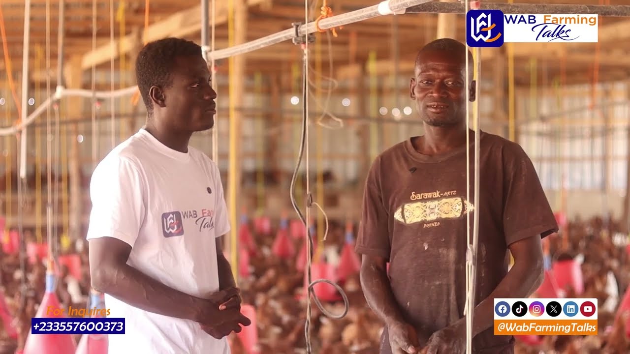 Million-Dollar Poultry Farming: The Inspiring Story of Oti Region’s 20,000-Bird Empire