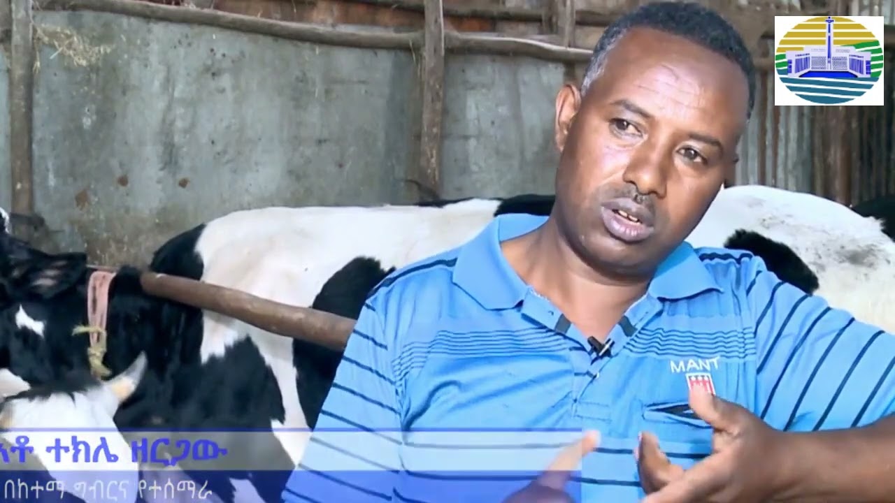 በተቀናጀ  ለከተማ ግብርና በተደረገው ድጋፍ ዘንድሮ  ባለስኬቶች