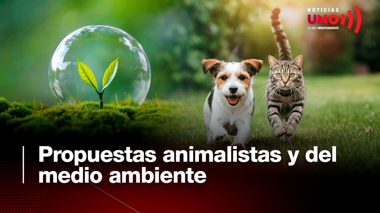Propuestas animalistas y medio ambiente | Noticias UNO
