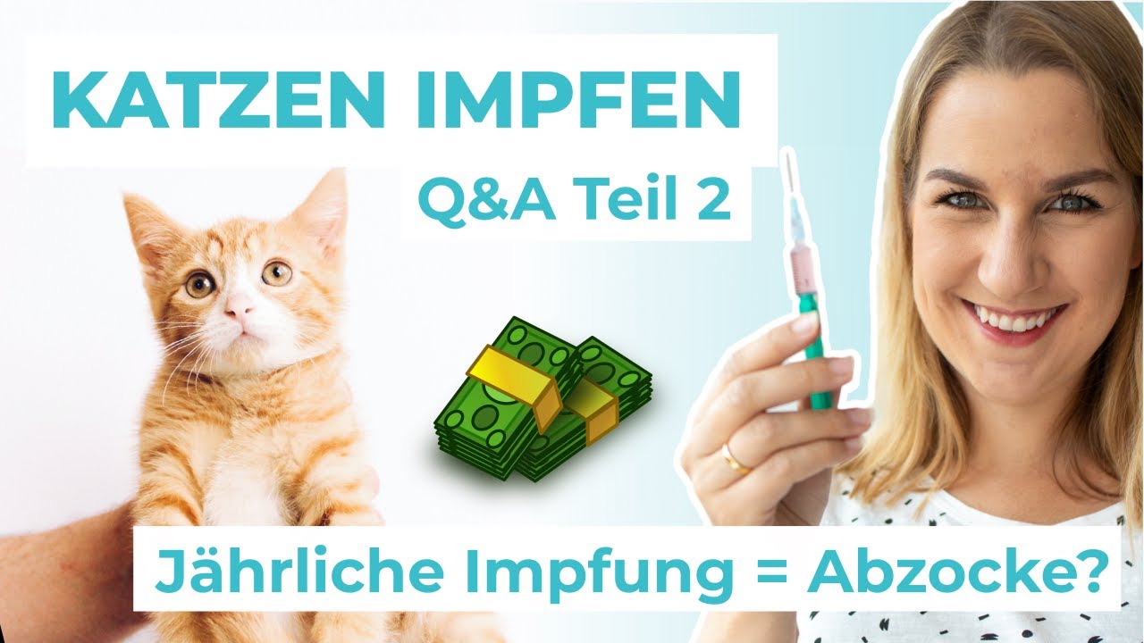 Katzen impfen - Wann und wie oft? Jährlich = Abzocke?