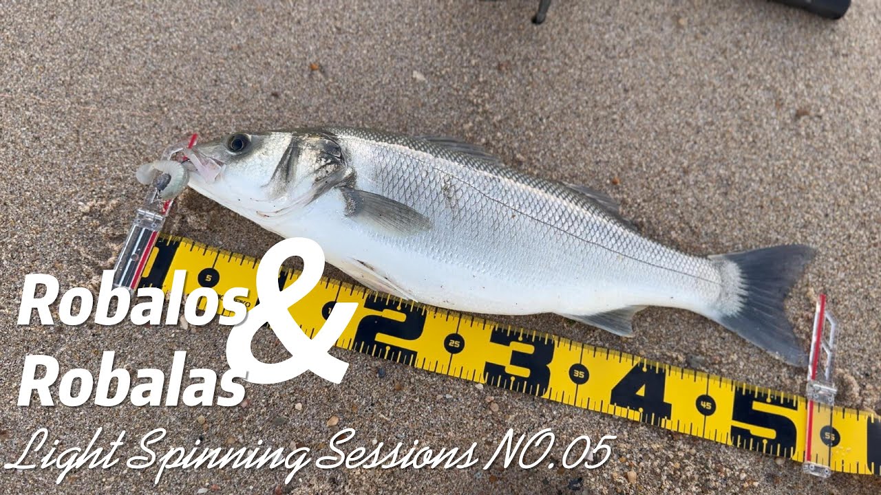 Robalos & Robalas- LIGHT SPINNING SESSIONS #05