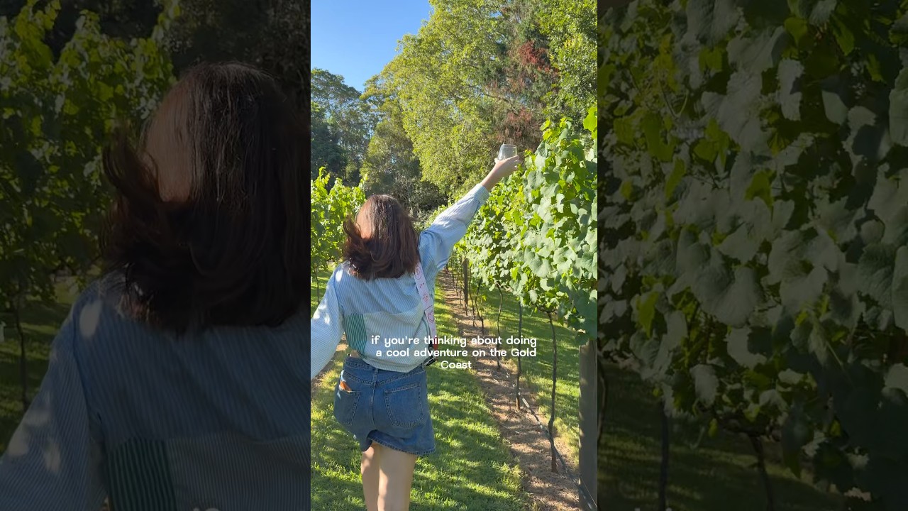Gold Coast series: day tour with Nevermind Travel on the Gold Coast 