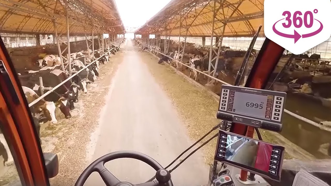 Trioliet VR Feeding Experience | 360 graden video | Total Reality