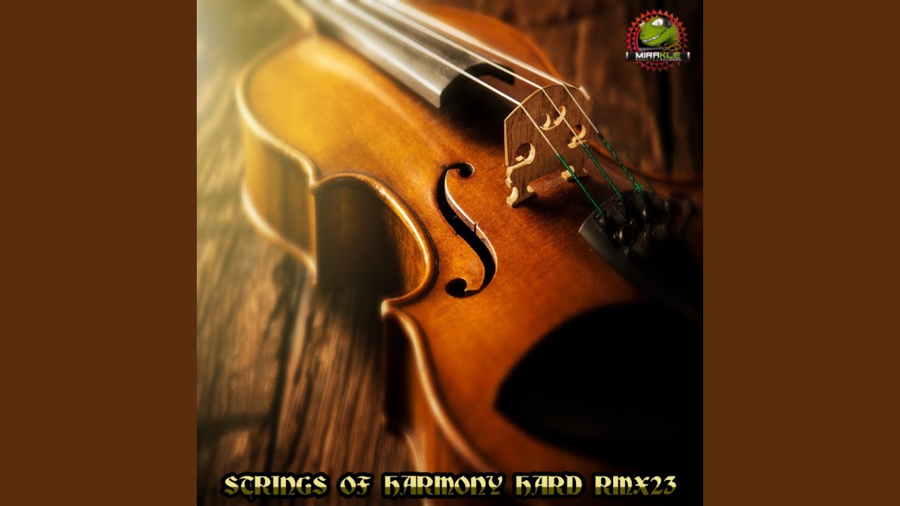 STRINGS OF HARMONY (HARD Remix)