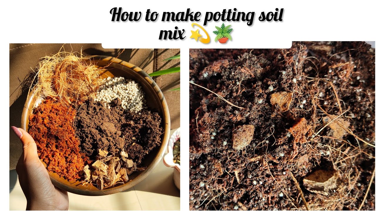 How to make Potting Soil Mix 💫🪴#pottingsoil #soil #pottingmix #plants #garden
