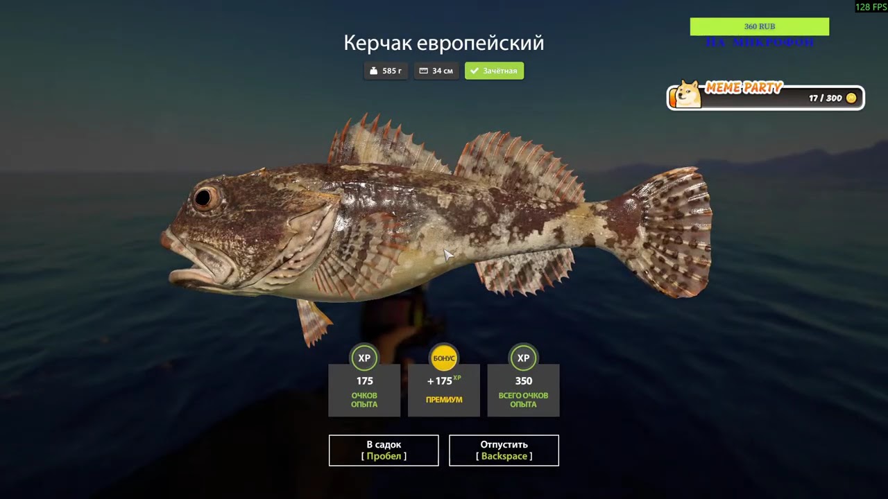 Трофей Камбала Морская на 41 банке поймал на поролоновую рыбаку 001 поймал днём