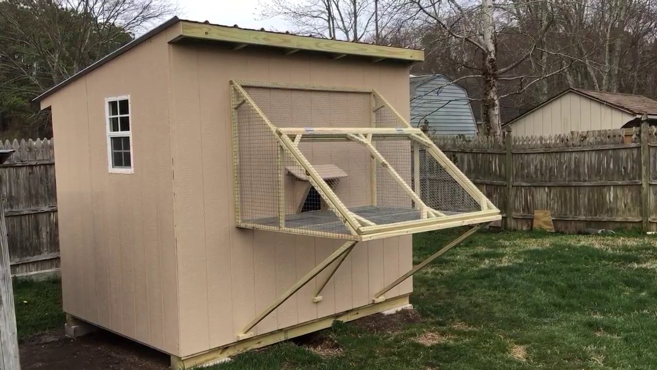 New pigeon loft last update!
