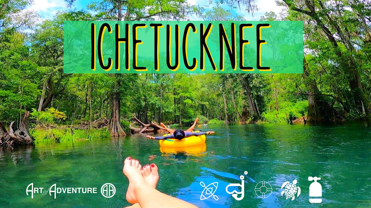 Cheat Codes for Ichetucknee: Live your best life on one of Florida's favorite spring runs!