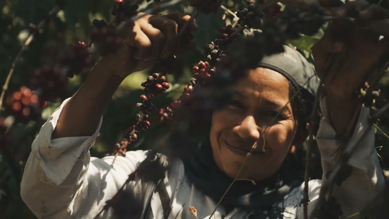 Exploring the Magic of Coffee in Chiapas: A Cinematic Odyssey of Stories in Every Cup CINEMATIC FILM