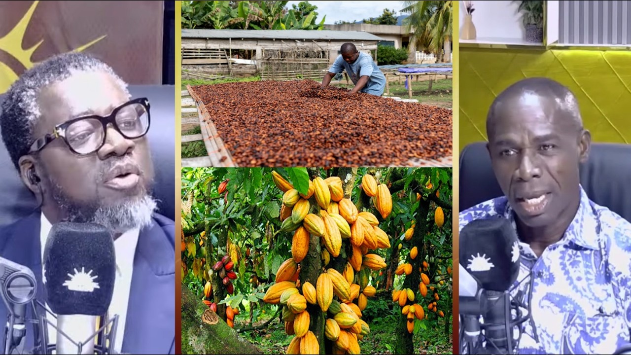 Cocoa farmers have faced longstanding exploitation from successive gov't- Anane Boateng, GNACOF Prez