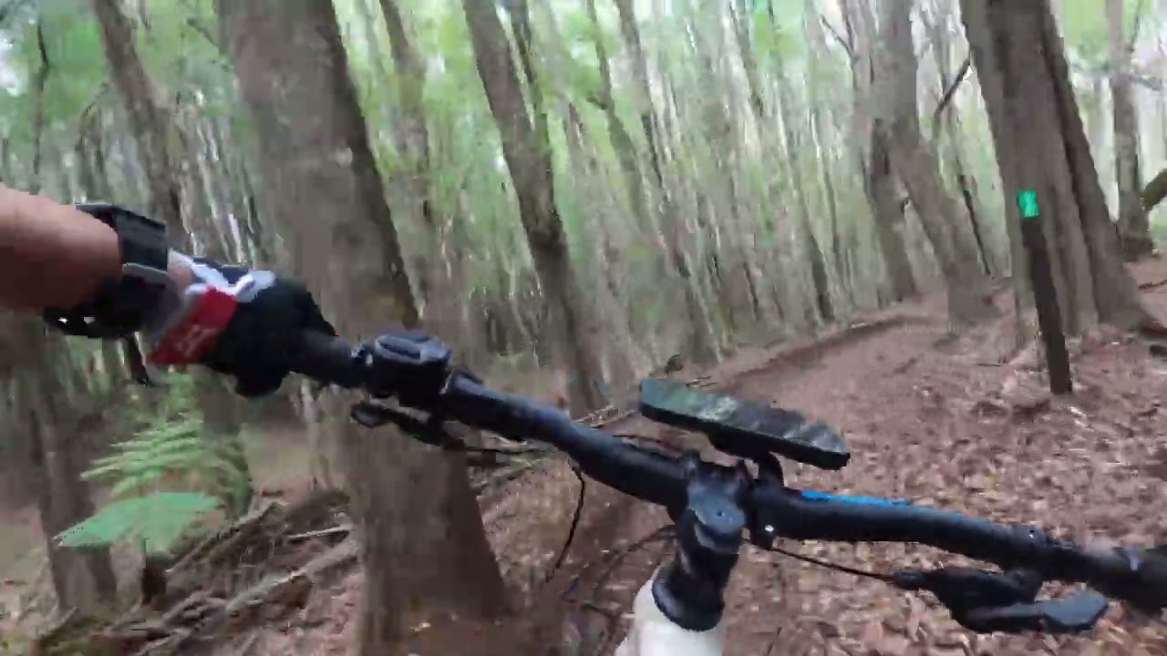 Makawao Forest Reseve