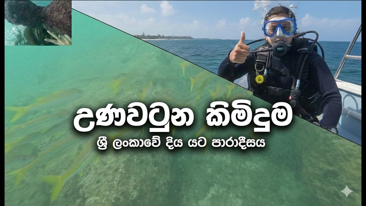 ලංකාවේ ලස්සනම මුහුද යට ලෝකය - උණවටුන කිමිදුම | Unawatuna Scuba Diving Sri Lanka