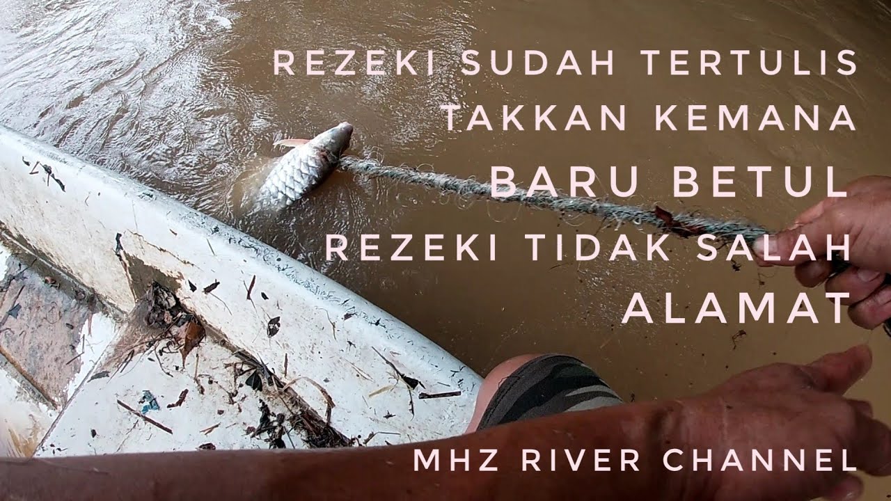 ikan ini berharga RM300 se ekor