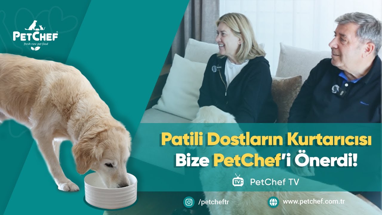 PATİLİ DOSTLARIN KURTARICISI BİZE PETCHEF'İ ÖNERDİ!