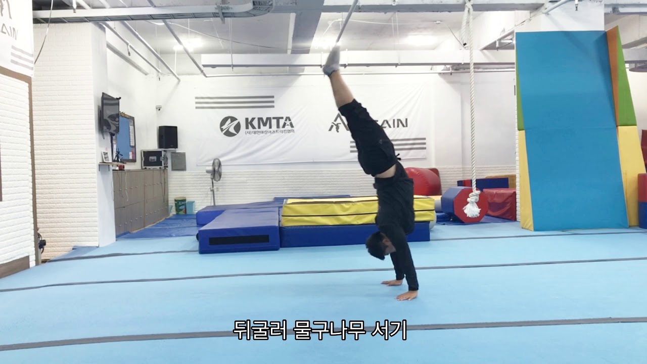 임용체조 (체육실기 )