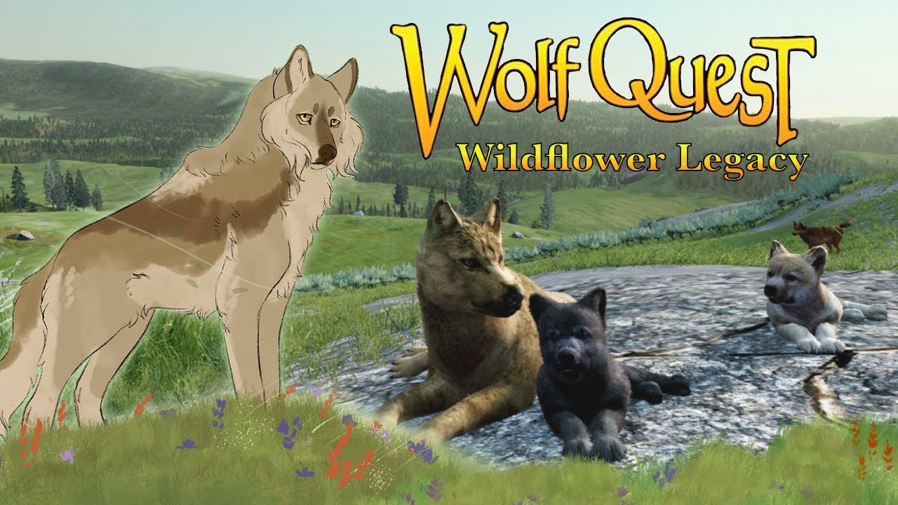 Moving To The CURSED Summer Site??🦬🌼 Wolf Quest: Wildflower Legacy #10 (Buffalo Plateau)