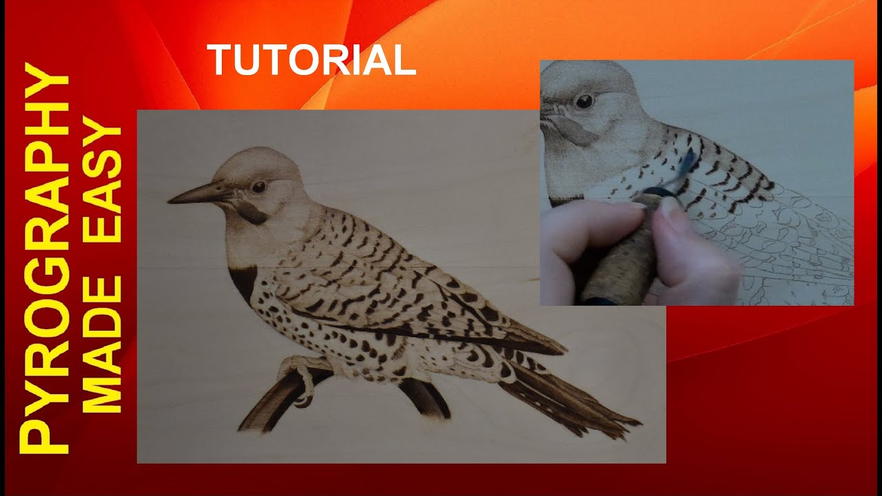 Northern Flicker Дятел Пирография Учебник техники затенения при сжигании древесины