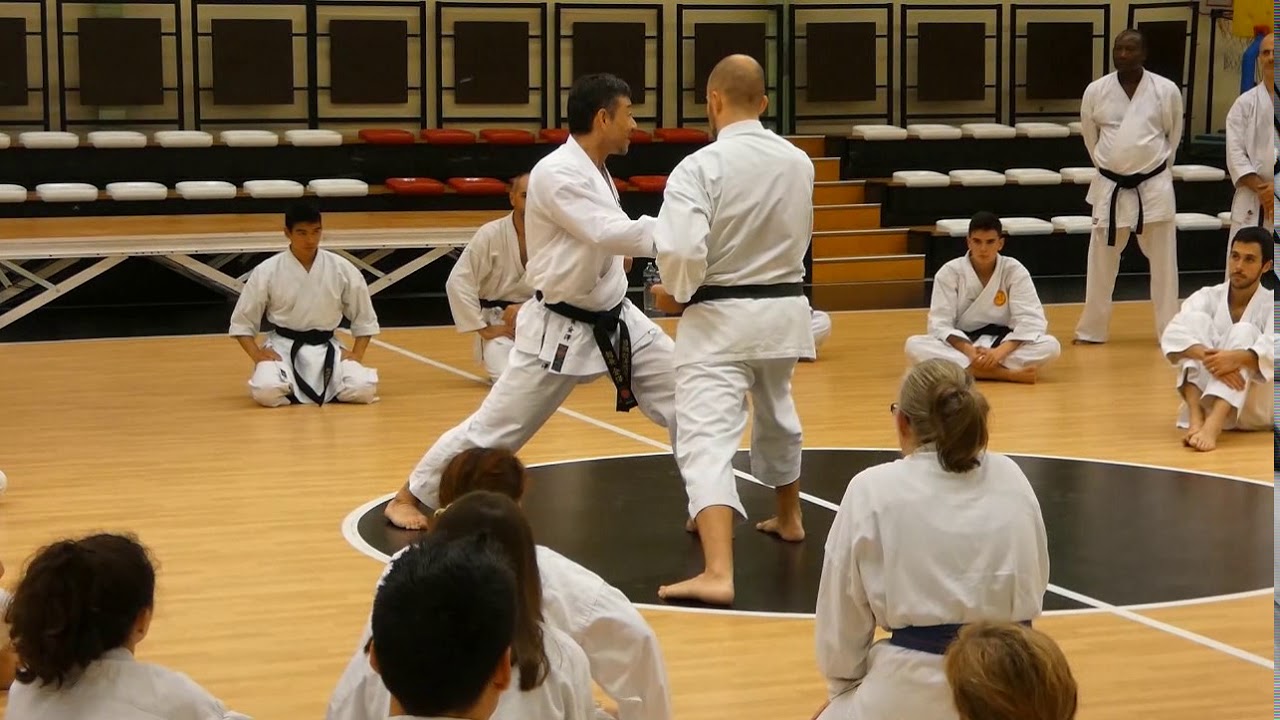 Nobuaki Kanazawa Péronnas 31 Octobre 2019