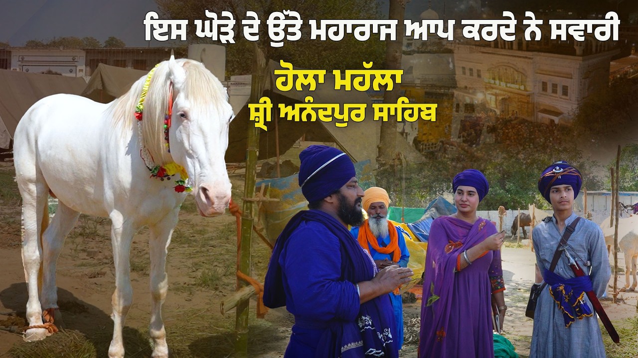 ਇਸ ਘੋੜੇ ਦੇ ਉੱਤੇ ਮਹਾਰਾਜ ਆਪ ਕਰਦੇ ਨੇ ਸਵਾਰੀ, ਹੋਲਾ ਮਹੱਲਾ ਸ਼੍ਰੀ ਅਨੰਦਪੁਰ ਸਾਹਿਬ