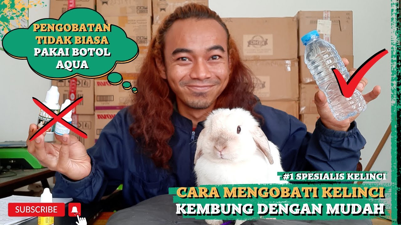 CARA MENGOBATI KELINCI KEMBUNG DENGAN MUDAH #kelinci #ternakkelinci #obatkelinci