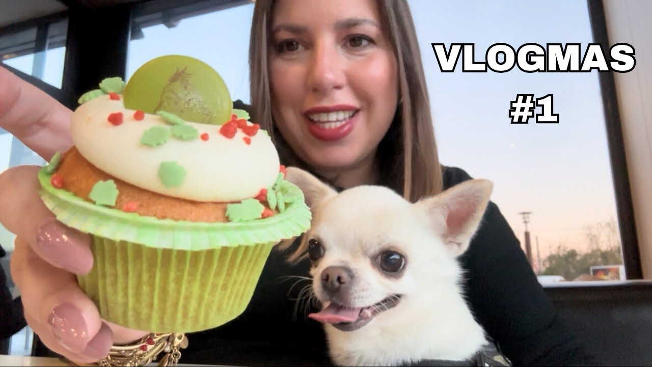 VLOGMAS 1 • ANDIAMO AL VILLAGGIO DI BABBO NATALE!!!  e Haul Biancheria da Letto Bassetti 
