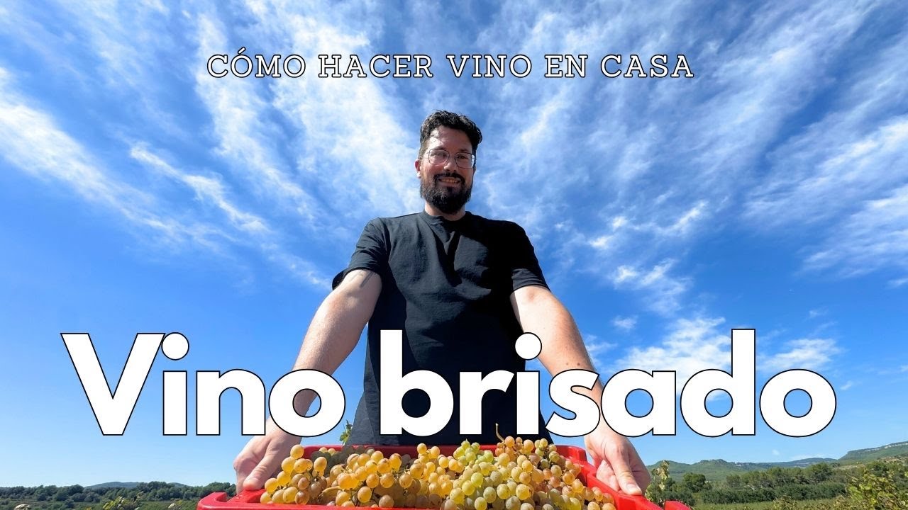 Hacer VINO blanco BRISADO en casa (con excelentes resultados)
