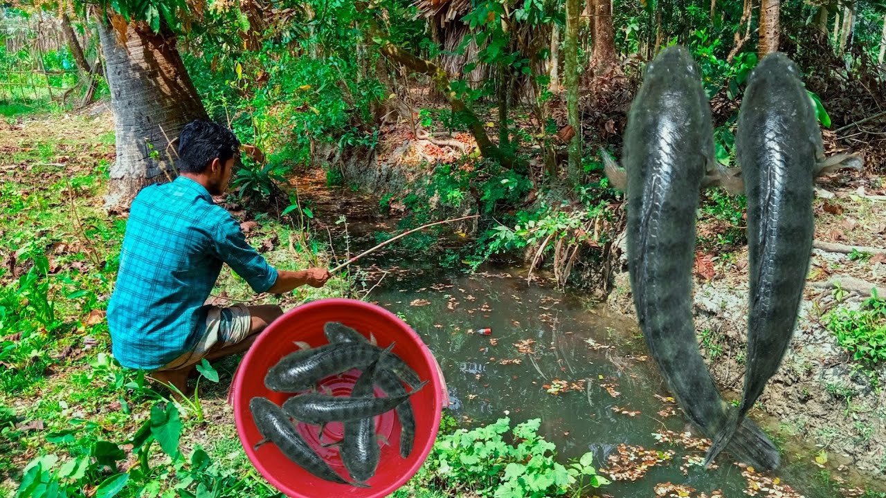 Amazing hook fishing in small canal