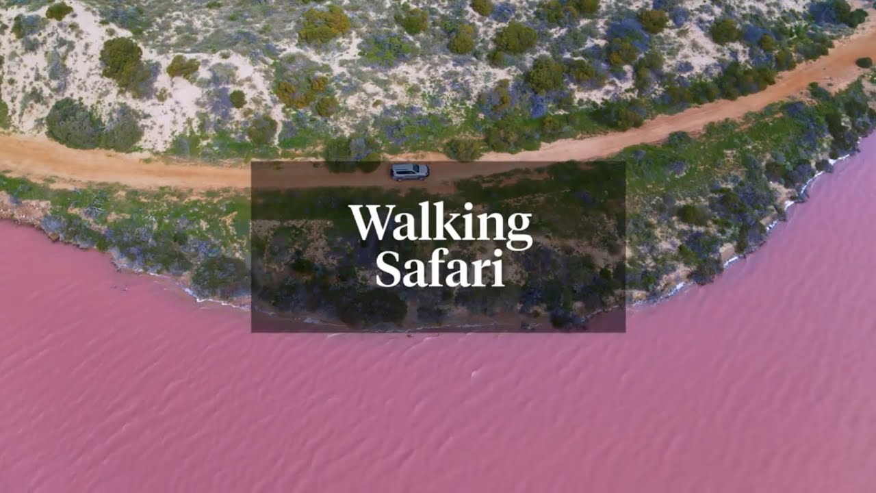 Walking safaris: a guide to South and Western Australia | National Geographic Traveller (UK)