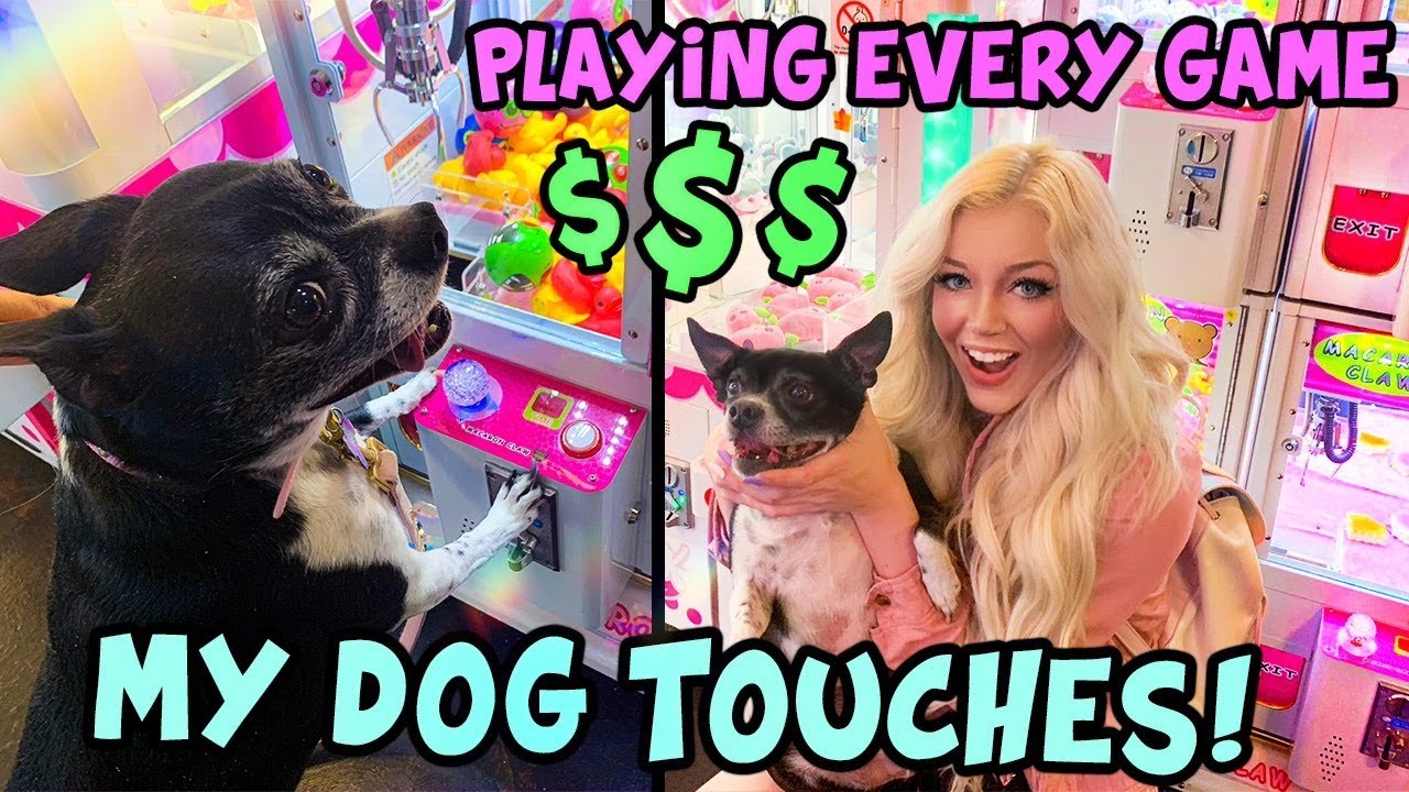 PLAYING EVERYTHING MY DOG TOUCHES AT THE ARCADE! Dog Plays Claw Machines!