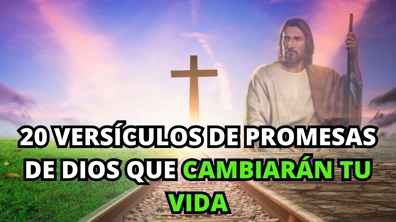 20 Versículos Hermosos de Promesas de Dios que Cambiarán tu Vida | La BIBLIA