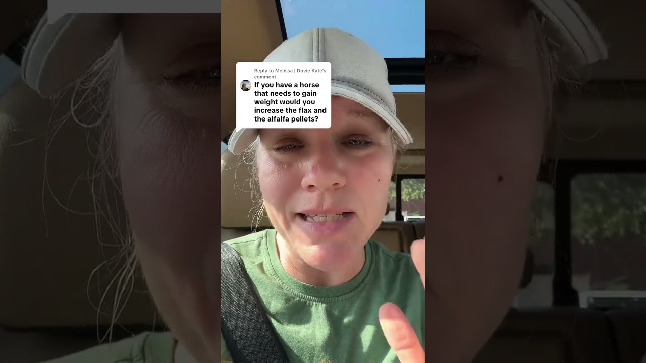 What Should I Increase To Help My Horse Gain Weight?