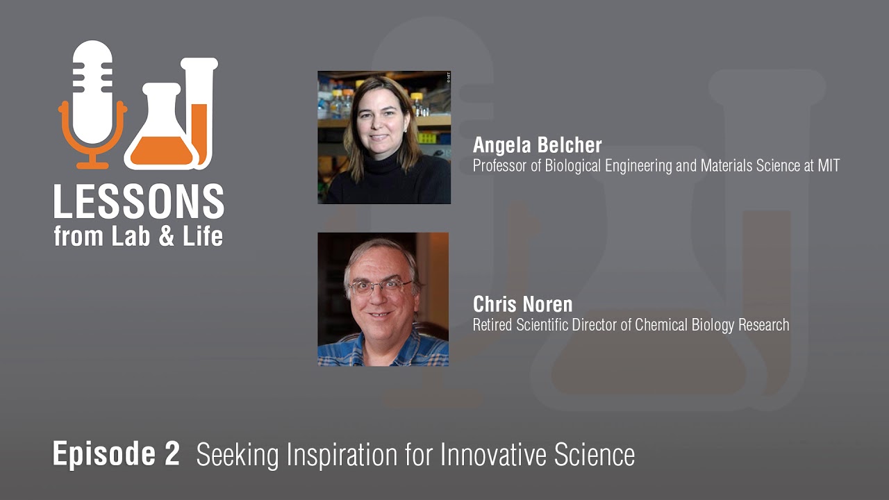 Interview with Angela Belcher: Seeking Inspiration for Innovative Science