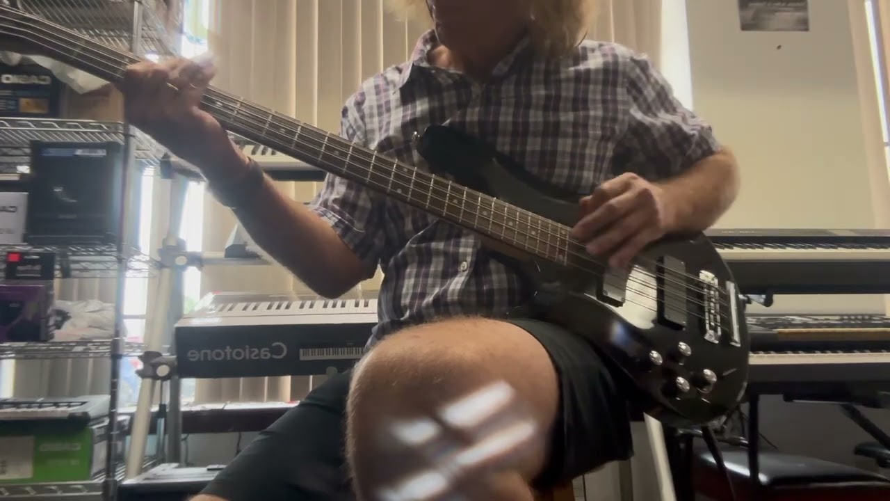 Schecter 8 string Bass