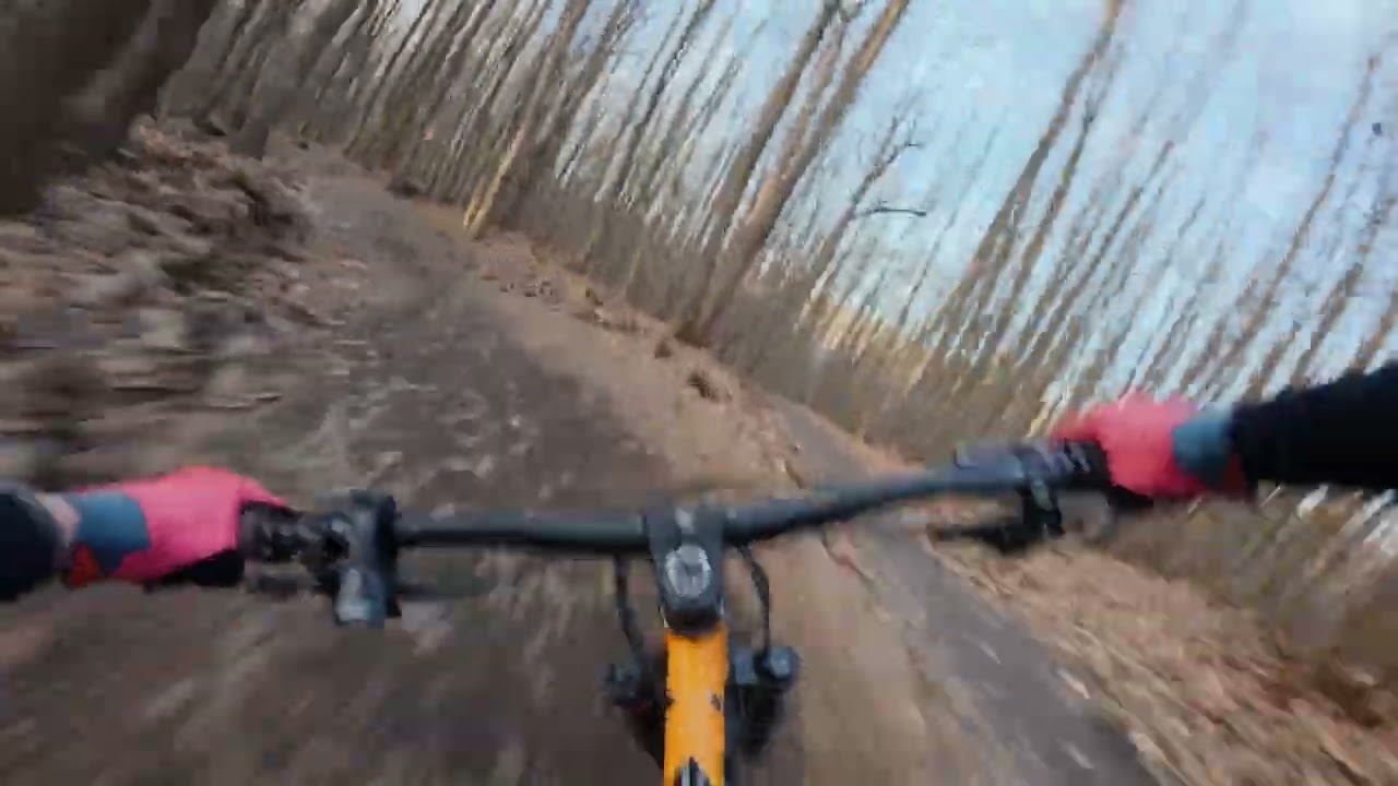 RAW Run full bleu MontFreeride