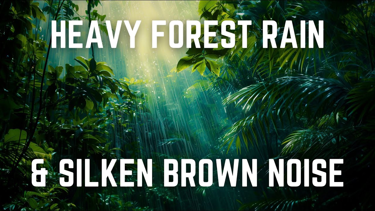 HEAVY FOREST RAIN & SILKEN BROWN NOISE | 12 Hours | Black Screen | No Midway Ads