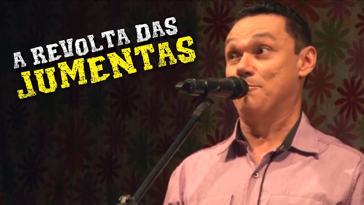 Amazan - A Revolta das Jumentas
