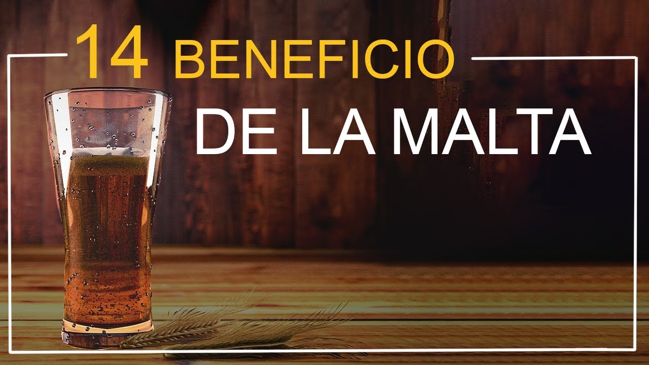 14 Beneficios de la Malta que no Conocías