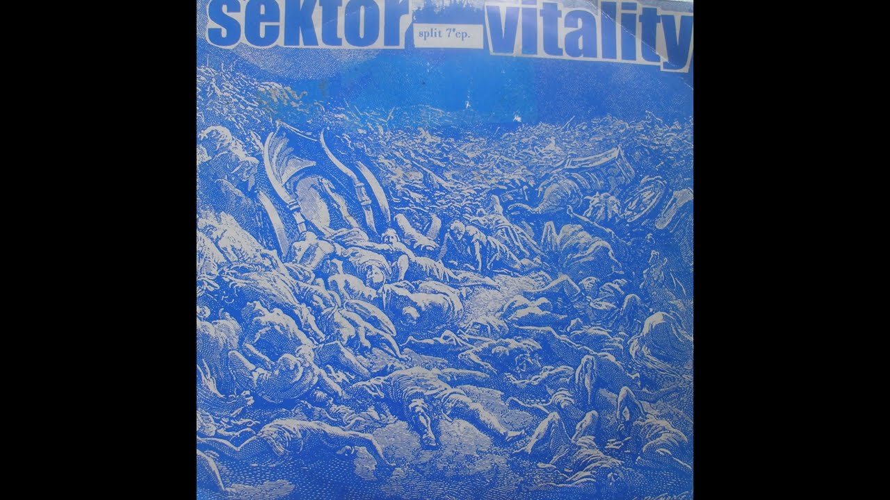 Sektor/Vitality - Split 7