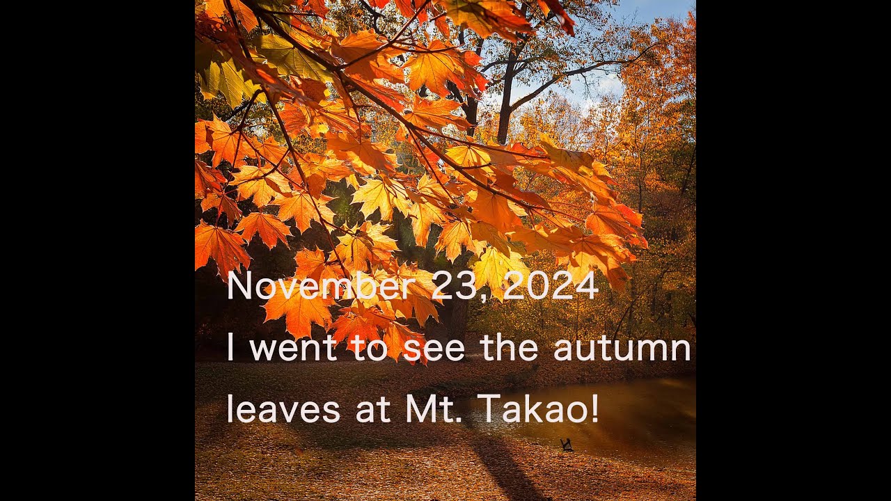 Late autumn foliage on Mount Takao in the suburbs of Tokyo