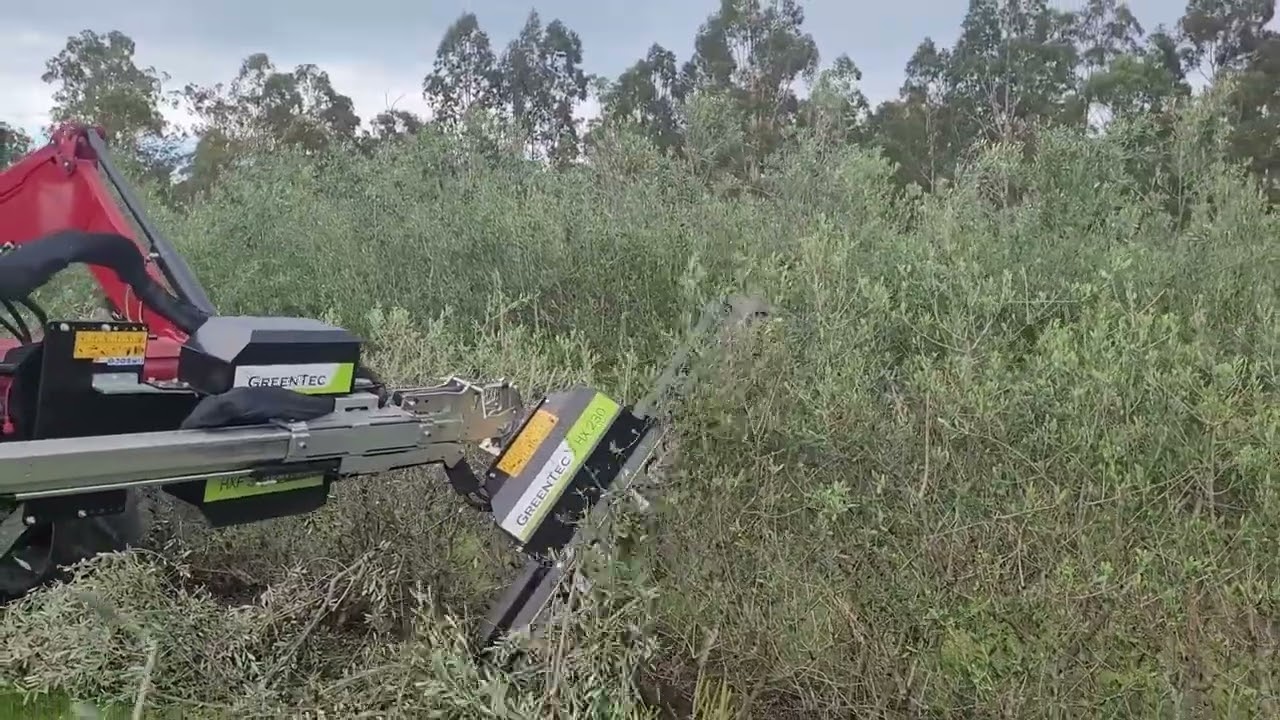 GREENTEC HX230 CUTTERBAR & HXF 3302 MULTI CARRIER HEAVILY PRUNING A OLIVE LEAF GROVE