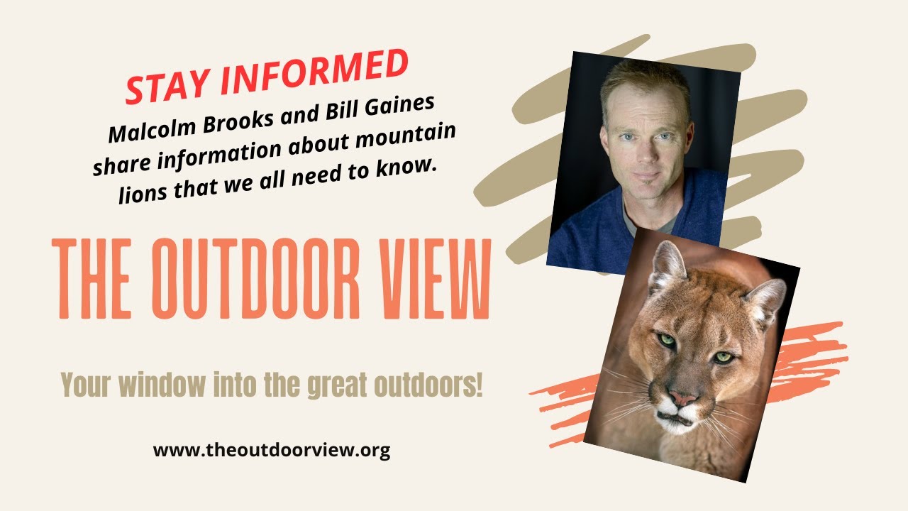 Malcolm Brooks and Bill Gaines share information about mountain lions that we all need to know.