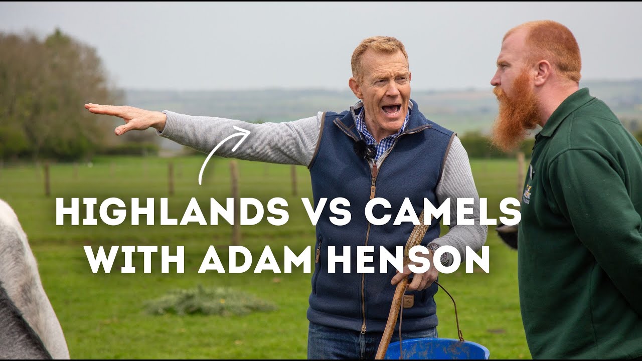 Highland Cows Vs Camels! | With Adam Henson Episode 1