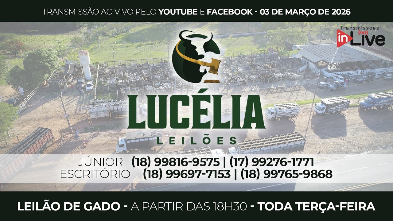 LUCÉLIA LEILÕES - LEILÃO DE GADO AO VIVO - 18H - 10/03/2026 | 100 % Pesados no Recinto