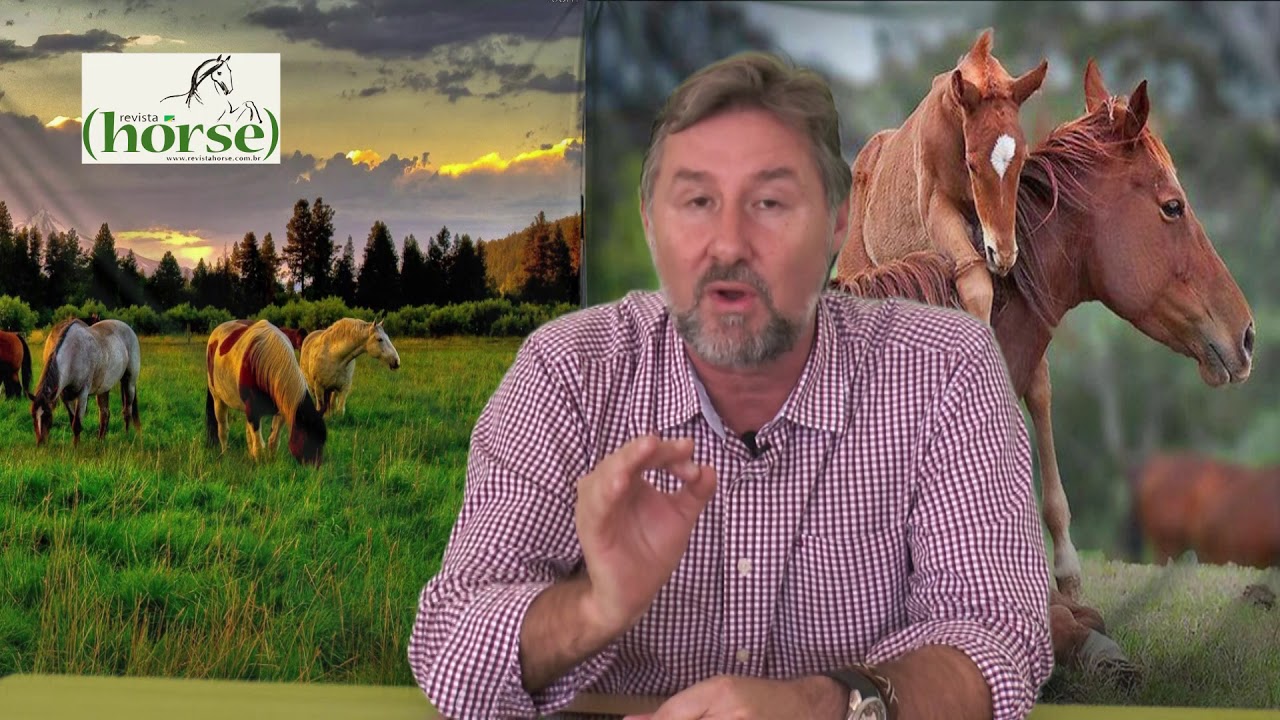 Revista Horse 99, nas melhores bancas e livrarias do Brasil
