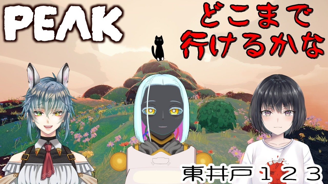 【PEAK】猫集会所登山部。【2026/02/22】