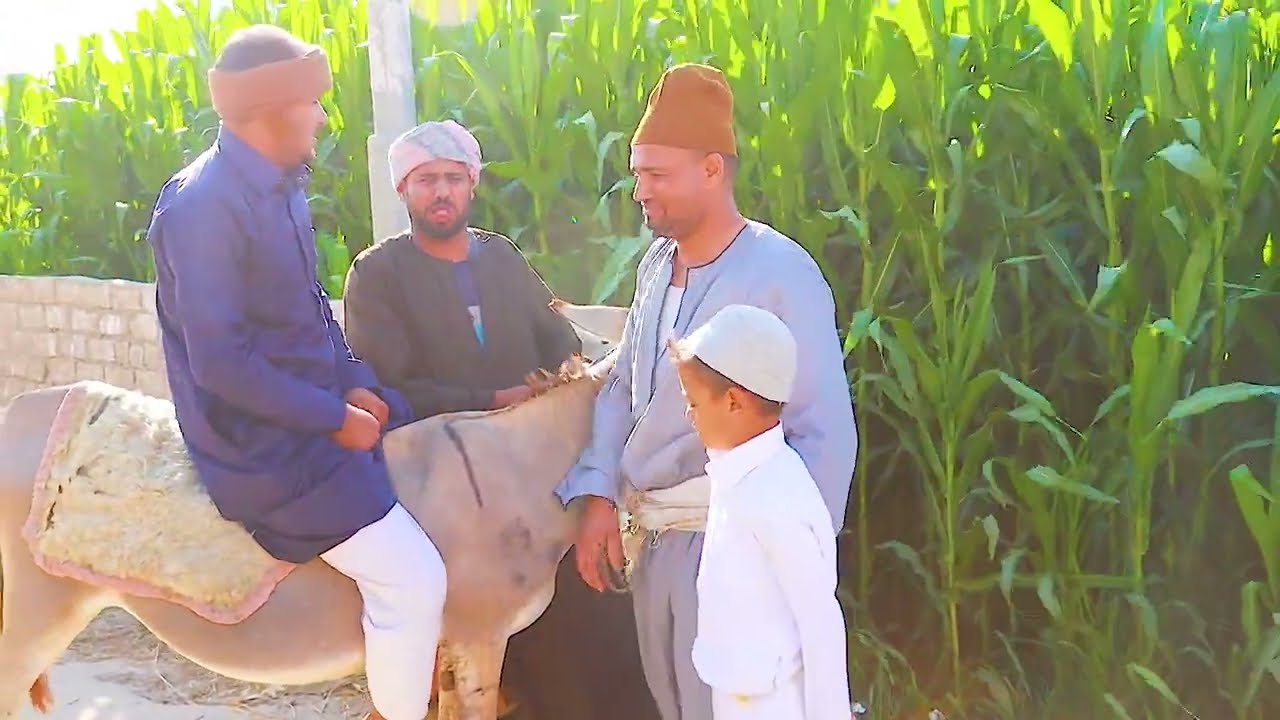 العمده والفتان اغرب قصة ممكن تشوفها